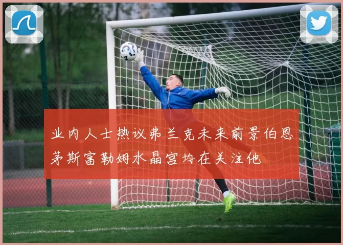 业内人士热议弗兰克未来前景伯恩茅斯富勒姆水晶宫均在关注他